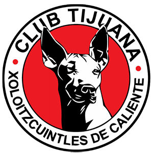 Vitrias do Tijuana contra o Corinthians