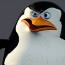 Avatar de Pinguim de Madagascar