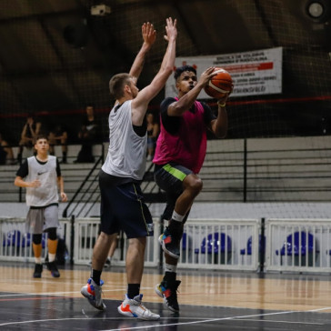 Draft Tim�o