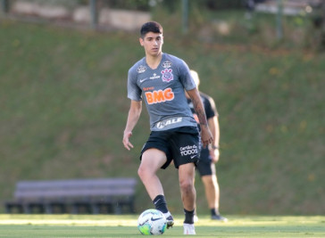 Araos na tarde desta quinta-feira, na Cidade do Galo, em Vespasiano-MG