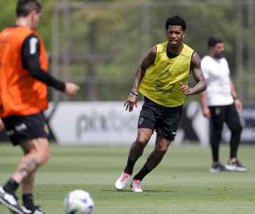 Gil em atividade no campo