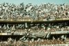 Corinthians batia recorde histrico de pblico do Morumbi h exatos 43 anos