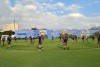 Corinthians se reapresenta e finaliza preparao para as quartas de final do Paulista