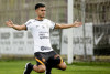 Corinthians relembra ltimo jogo de Tvez com Fausto repetindo comemorao icnica; veja publicao