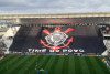 Corinthians confirma descarte de bandeiro de torcida resgatado em aterro; clube promete estudo