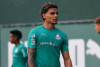 Desfalque de peso e meia de mal com a torcida: como vem o Palmeiras para enfrentar o Corinthians
