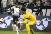 Goleiro 