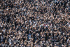 Torcida do Corinthians repercute vitória com alívio, brinca com gol e deixa críticas a lateral