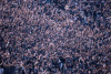Corinthians bate recorde de p