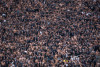 Corinthians bate recorde de pblico na Neo Qumica Arena em vitria sobre o Santos