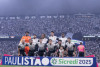 Santos, S
