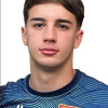Vinicius Pinto Tonollo