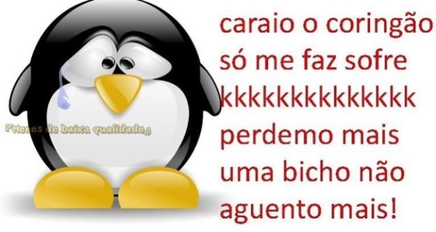 bora coring�o