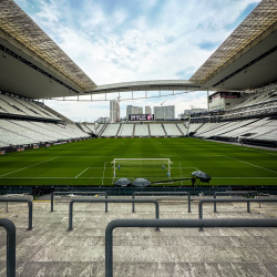 Humorista santista promete doar R$ 100 mil para vaquinha da Arena