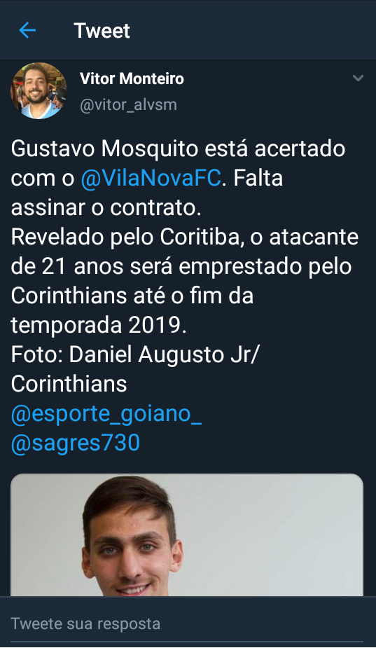 o mosquito vai voar
