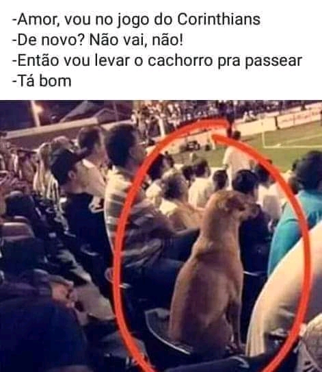 O golpe!😂😂😂