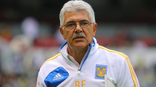Tuca ferreti
