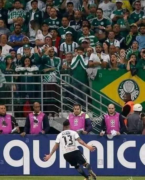 Essa foto merece um quadro .