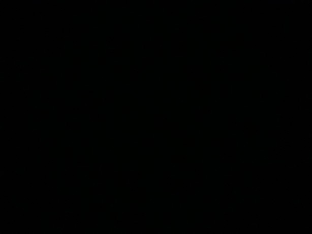 Imagem do t�cnico ideal para o Corinthians