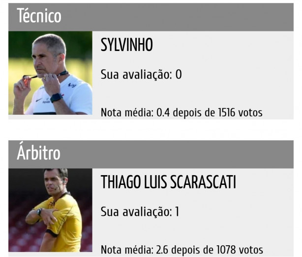Treinador de V�rzea