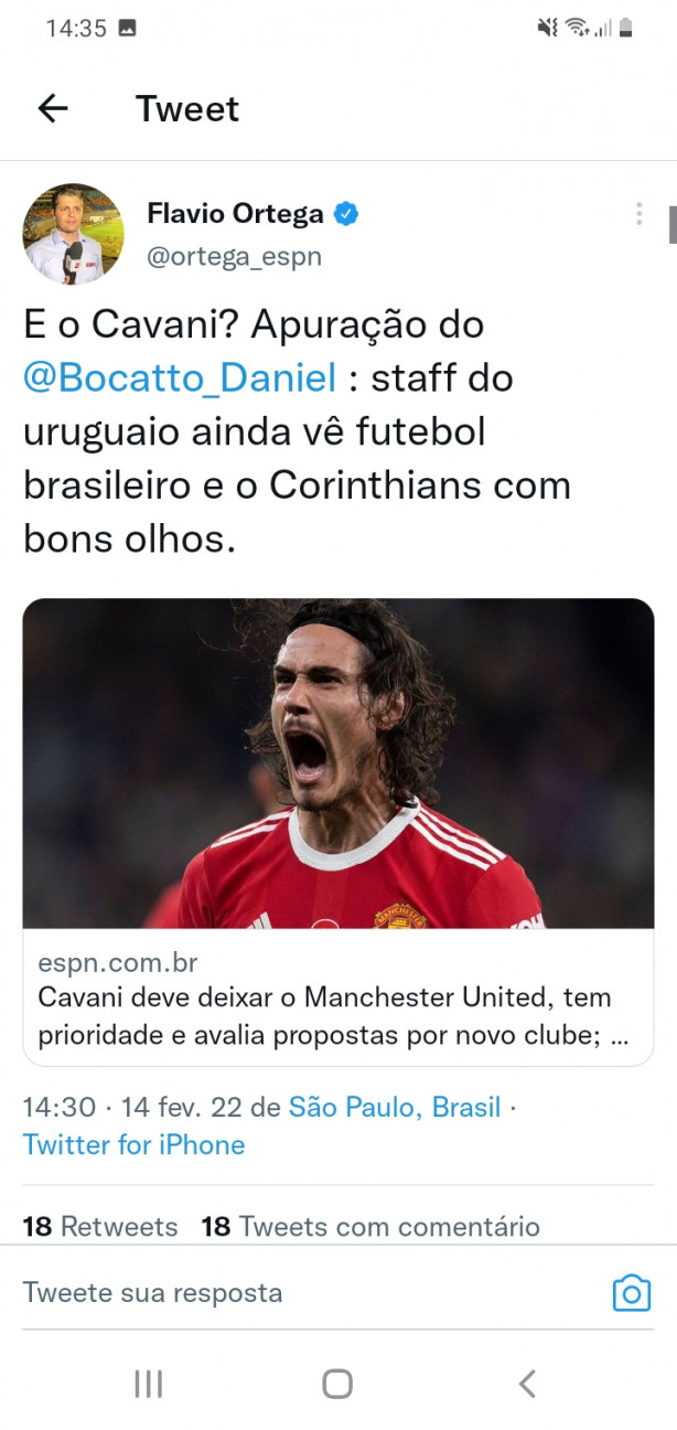Flavio Ortega-Novela Cavani de novo?