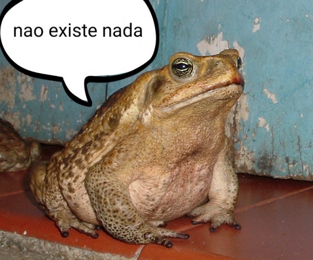 Roberto de Andrade: