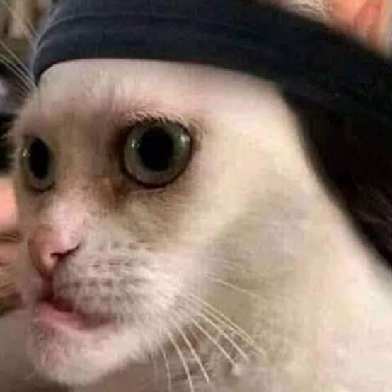 C�ssio se escapou hoje de novo