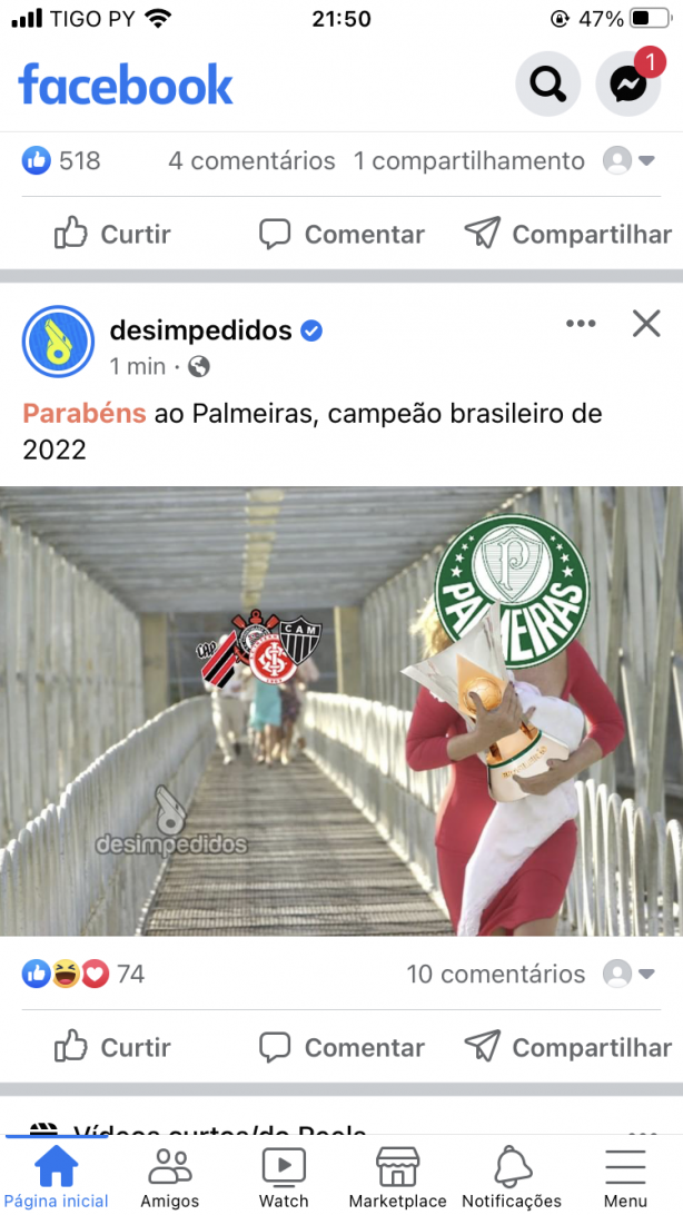 V�o zicar o palmeiras