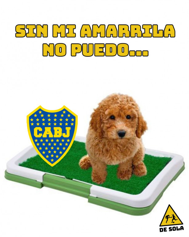 Sem meu Amarilla eu n�o consigo.