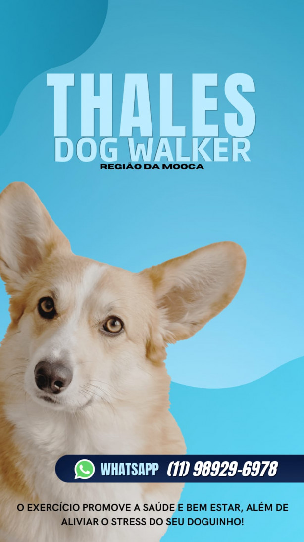 Dog Walker Mooca