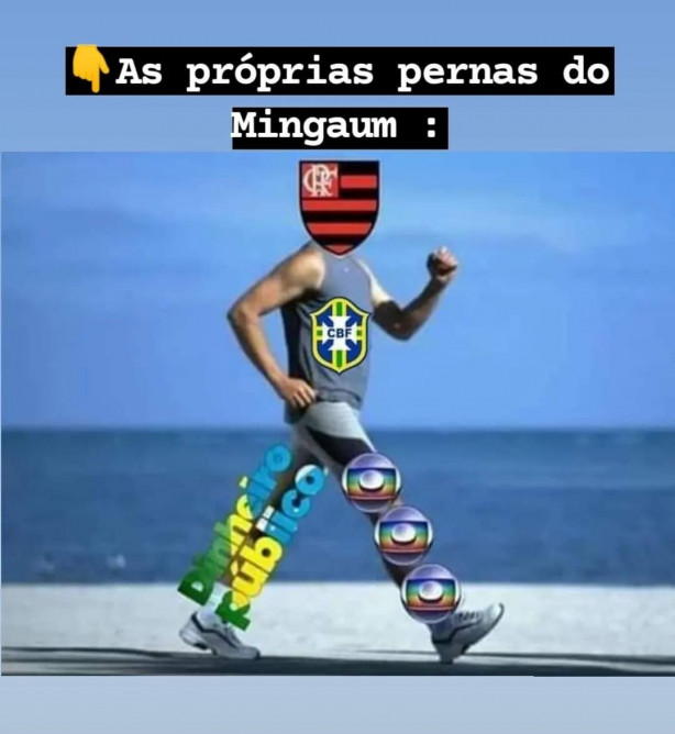 O Flamengo caminha com as prprias pernas