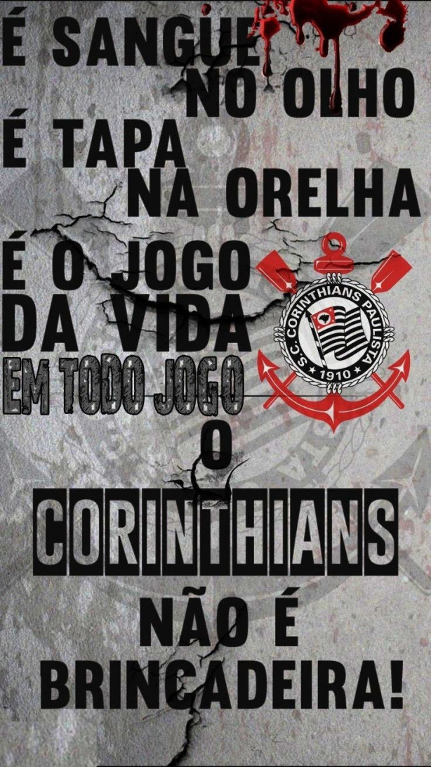 Ainda bem que ele percebeu logo que o Tim&atilde;o � diferente de