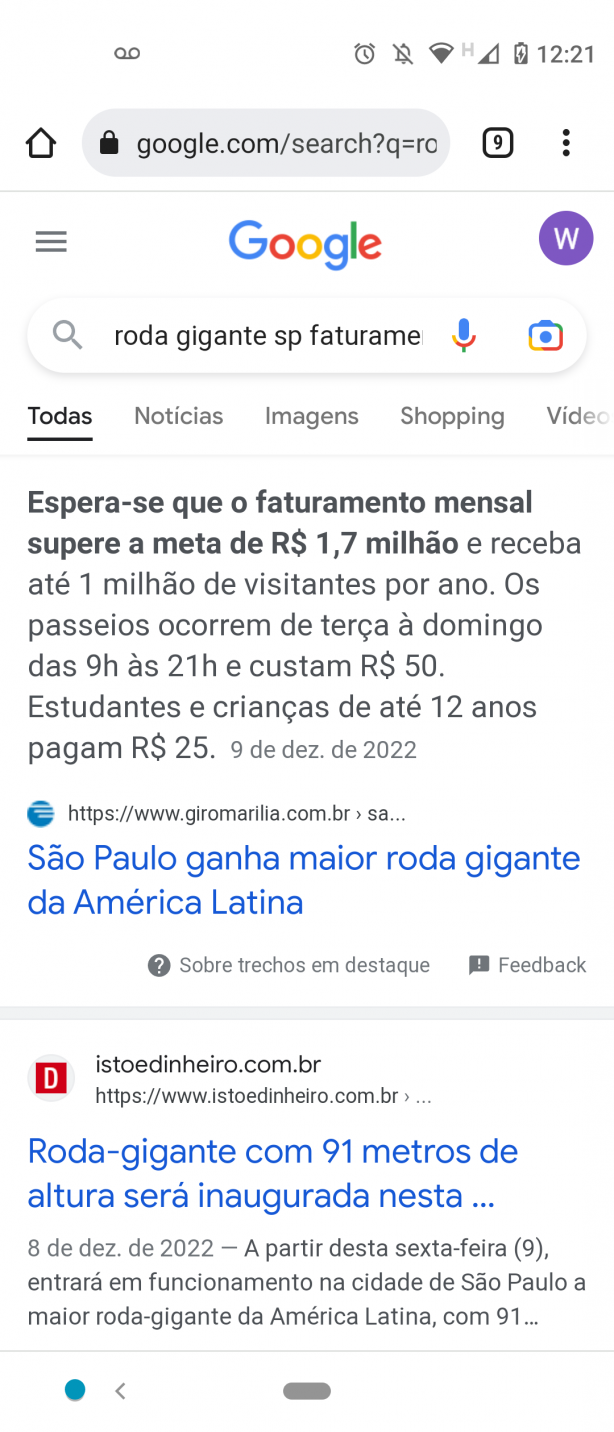 Voc� fala da roda gigante de forma extremamente
