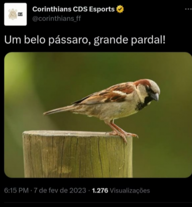 Kakakak a n�o o Corinthians � incr�vel kakak