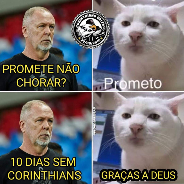 Digamos obrigado!