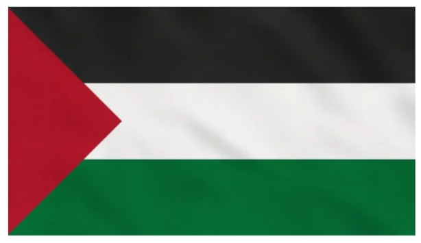 Vou me alistar no Exrcito da Libertao da Palestina, quem entende a causa deve se juntar a ns!