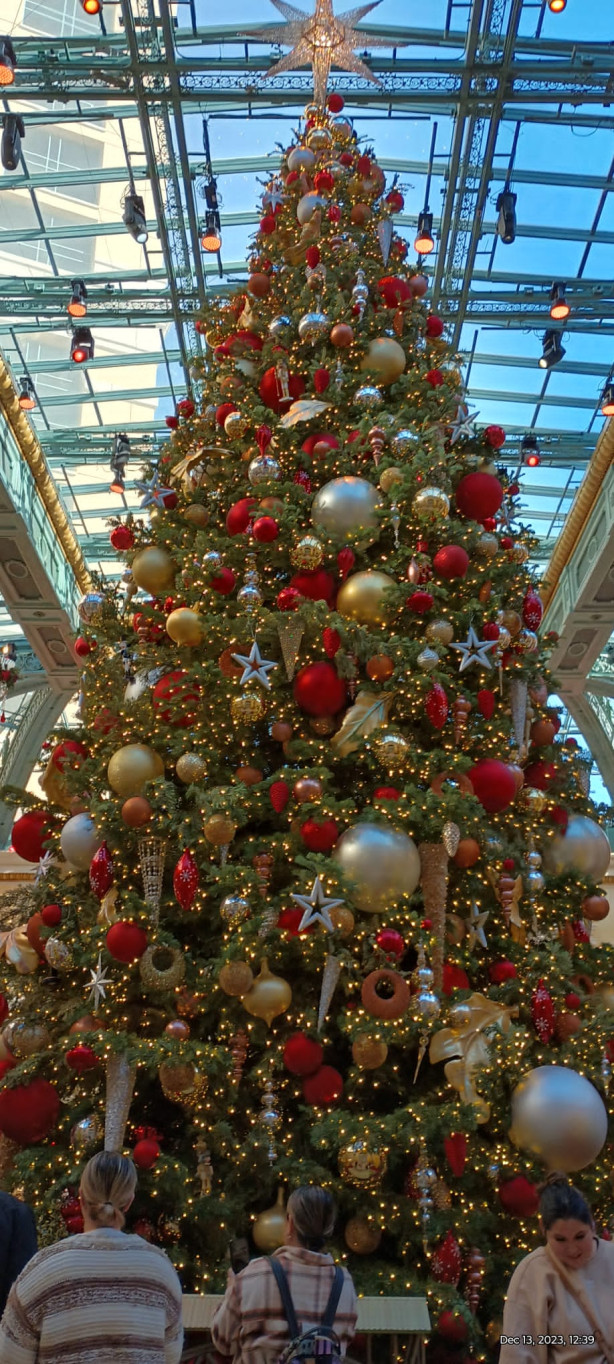 Feliz Natal e Prospero Ano Novo!