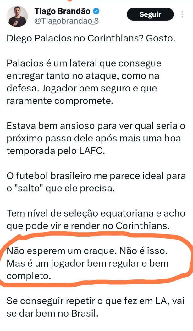 An�lise l�cida sobre Diego palacios