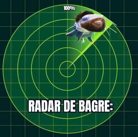 Detector de bagre em a��o.