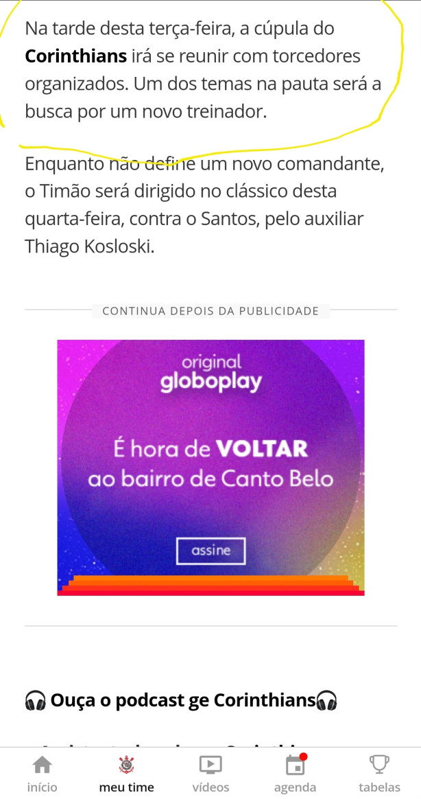 Diretoria ir� se reunir com torcida organizada para... Discutir sobre novo t�cnico! Absurdo