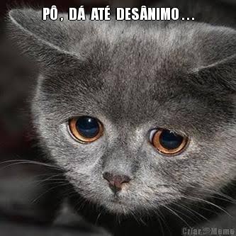 Obrigada Du�lio, muito obrigada.