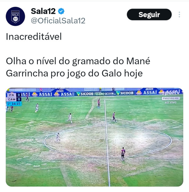 Por que fizeram o escudo do Corinthians no est�dio Man� Garrincha?