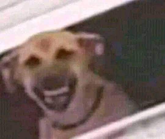 Me engana que eu gosto kkk