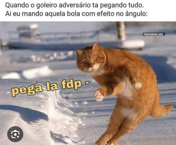 Somente isso