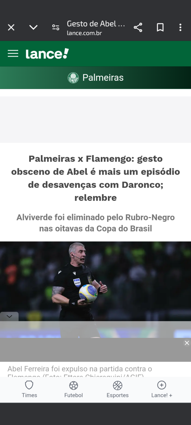 Tudo mimi