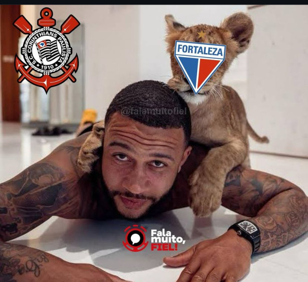Laionzinho inofensivo, mansinho