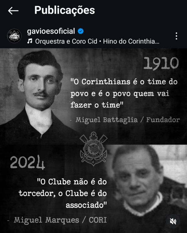 � guerra contra esses ratos