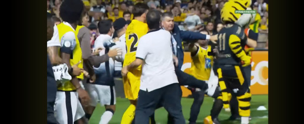 Chute o Tigrinho da sua vida