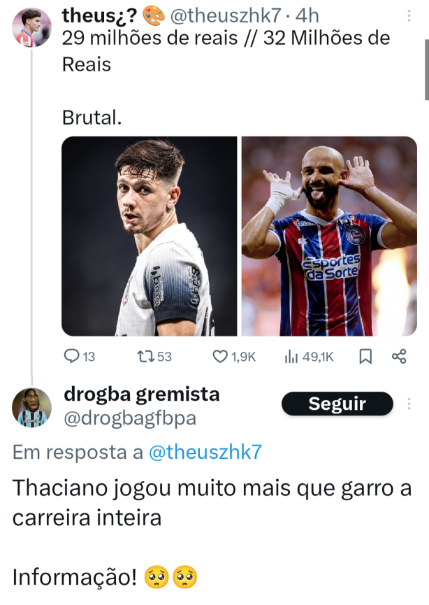 Filhote do Farid.