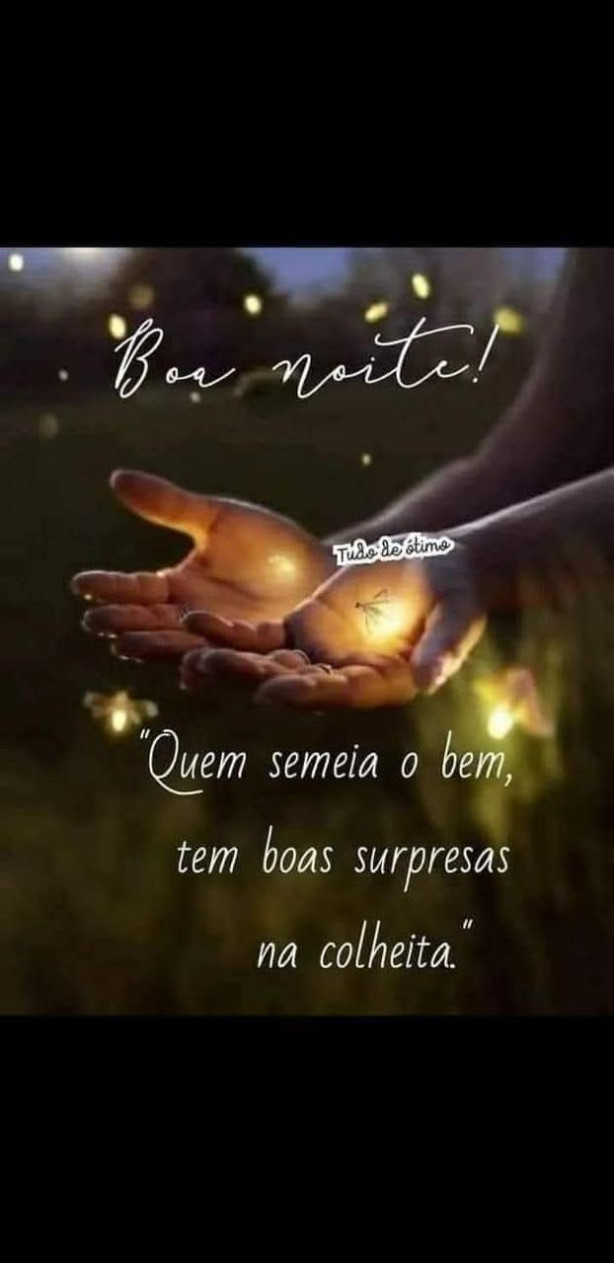 fora renova��o sem transpar�ncia